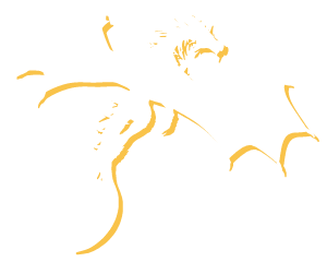 dragon icon